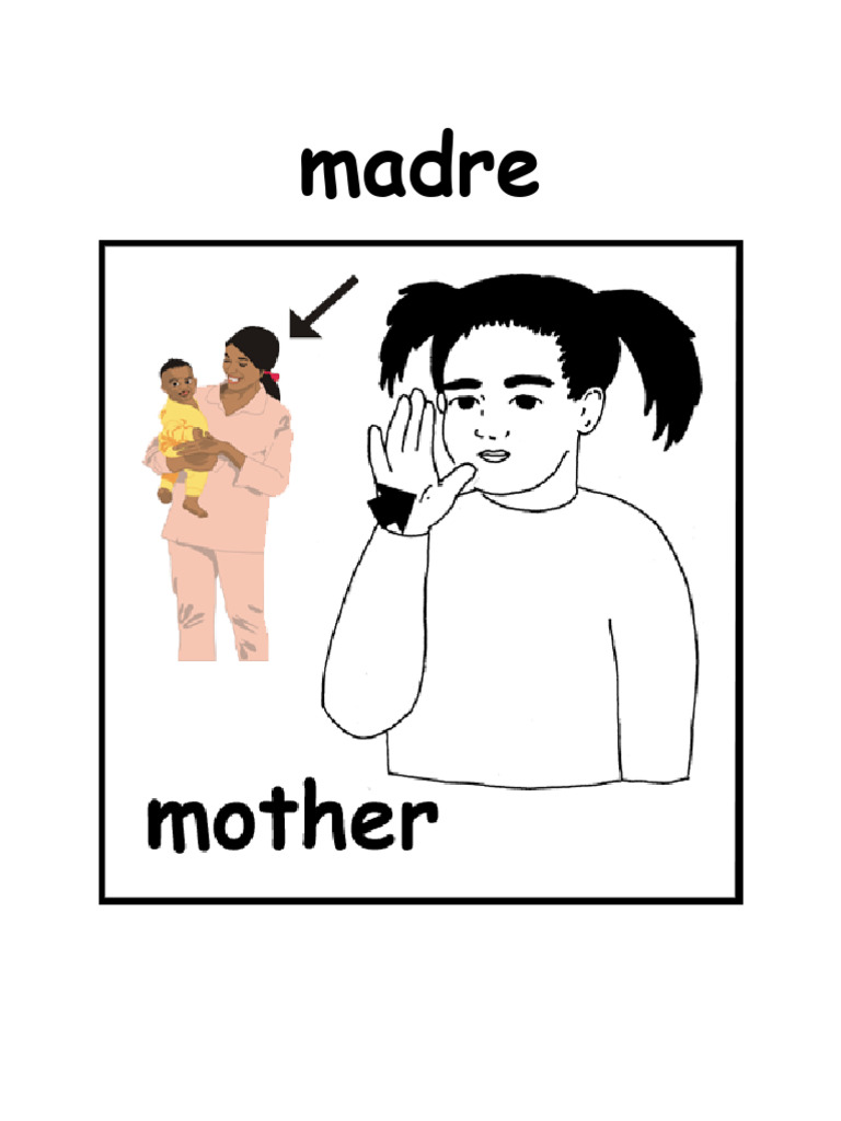 Family wall cards and flash cards pdf