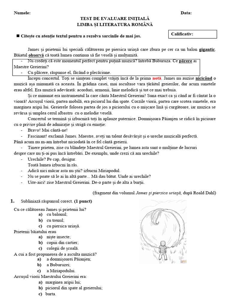 Test de Evaluare Initiala - Romana - IV | PDF
