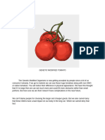Genetic Modified Tomato