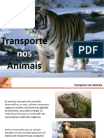 Transporte Animais