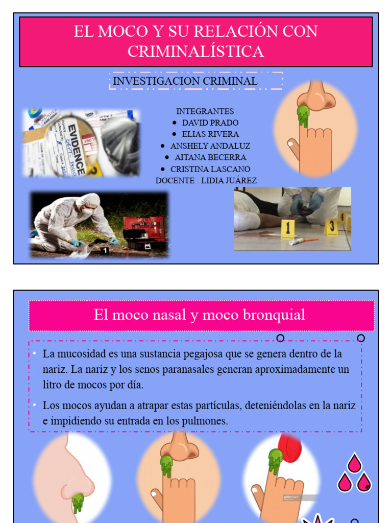 El moco y su relacion con la criminalistica pdf moco anatom a