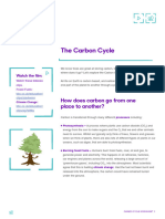 Carbon Cycle Worksheet Update2