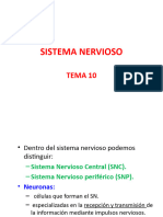 Tema 10. Sistema Nervioso Powerpoint
