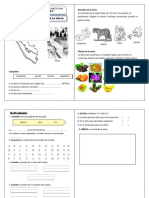 Animales y Plantas de La SELVA