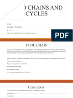 Food Chain and The Carbon Cycle
