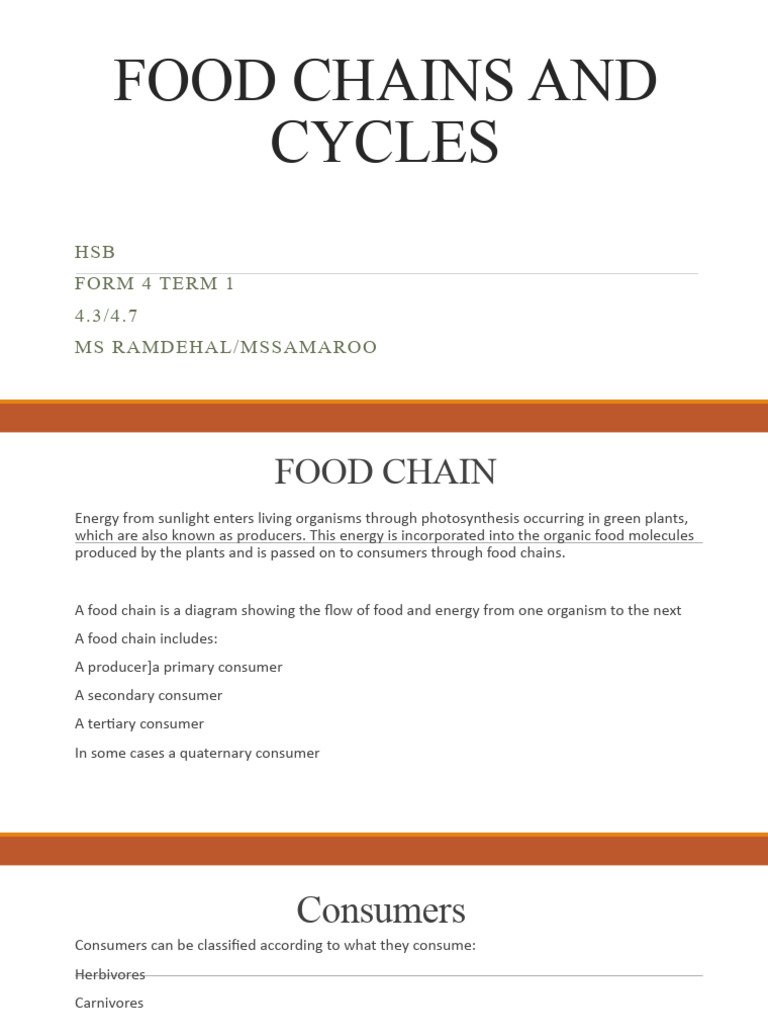Food Chain and the Carbon Cycle Biology Diagrams