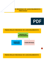Medidas de Coercion Personal DPP Lamgv