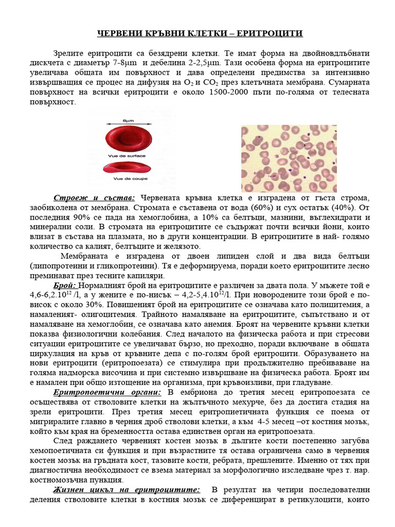 Еритроцити | PDF
