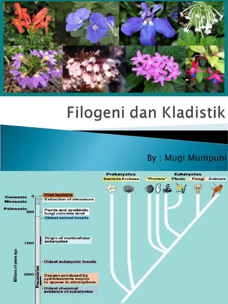 Kladistik dan Synapomorfi dalam Filogeni | PDF