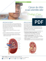 KidneyCancer Know FS 2021 Spanish