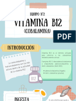 Vitamina B12: Equipo N°2