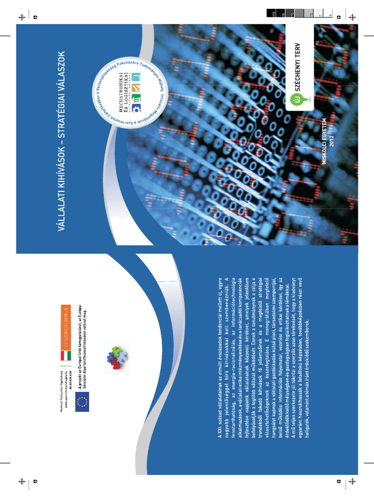 Informacios Rendszerek Kisvallalati Alkalmazasanak Vizsgalata Olasz 