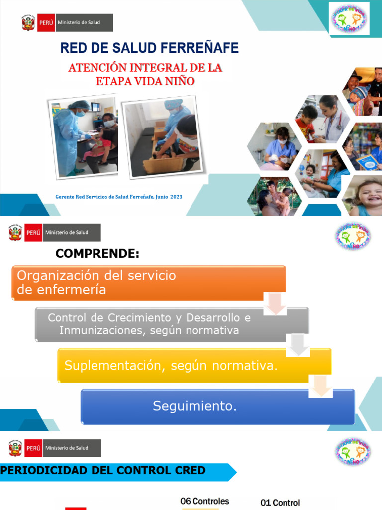 Atención Integral Del Niño | PDF | Infantes | Infancia