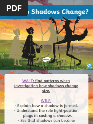 Science Investigating Shadows
