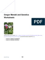 Mendelian Genetics Worksheet
