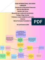 Mapa Mental MARÍA FERNANDA FERNANDZE CRUZ