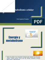 Metabolismo, Respitración y Fotosintesis Listo