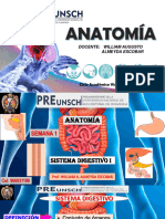 Sistema Digestivo I