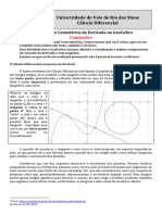 Conclusões Interpretacao Geometricada Derivada No Geo Gebra