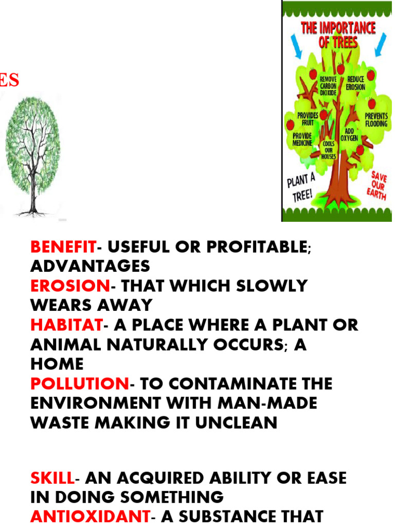 Benefits of Trees for Humans | PDF | Trees | Wood