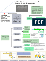 Procesos de Iniciación de Cadena Rezagada en La Replicación de ADN de Eucariotas