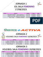 Voleibol Femenino 230814 113606