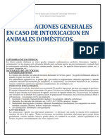 004 Consideraciones Generales en Caso de Intoxicacion en Animales Domésticos