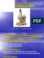 Tema 19.PRODUCCIÓN DE AVES - Compressed