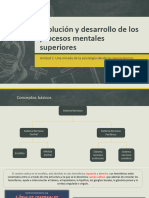 Evolución y Desarrollo de Los Procesos Mentales Superiores