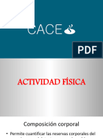 Actividad Fisica