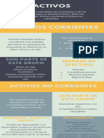 Infografía Activos