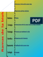 Ramas de La Ciencia