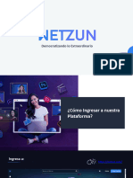 NETZUN - Manual de Uso de Plataforma
