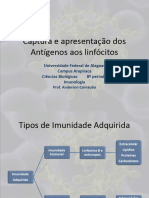 Aula 04 - Captura e apresentação dos Antígenos aos linfócitos I