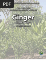 Download Ginger Specialty Crop by ai_toch3685 SN67189598 doc pdf