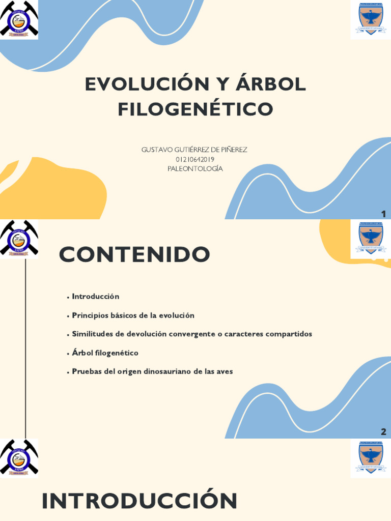 Árbol Filogenético y Evolución | PDF | Evolución | Dinosaurios