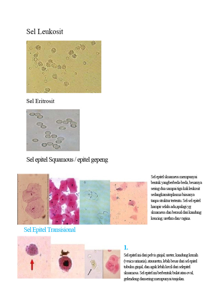 Dokumen - Tips - Atlas Sedimen Urin | PDF