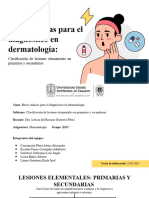 Dermatología - Clasificación de Lesiones