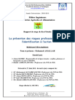 4.4.5-La Prévention Des Risques Professionnels - de L'identification À L'action (Olives SICOPA) - Maroc