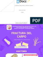 Fractura Del Carpo 324131 Downloable 1055981