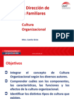 Tema 3. Cultura Organizacional - 2023-I