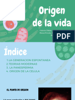 Origen de La Vida