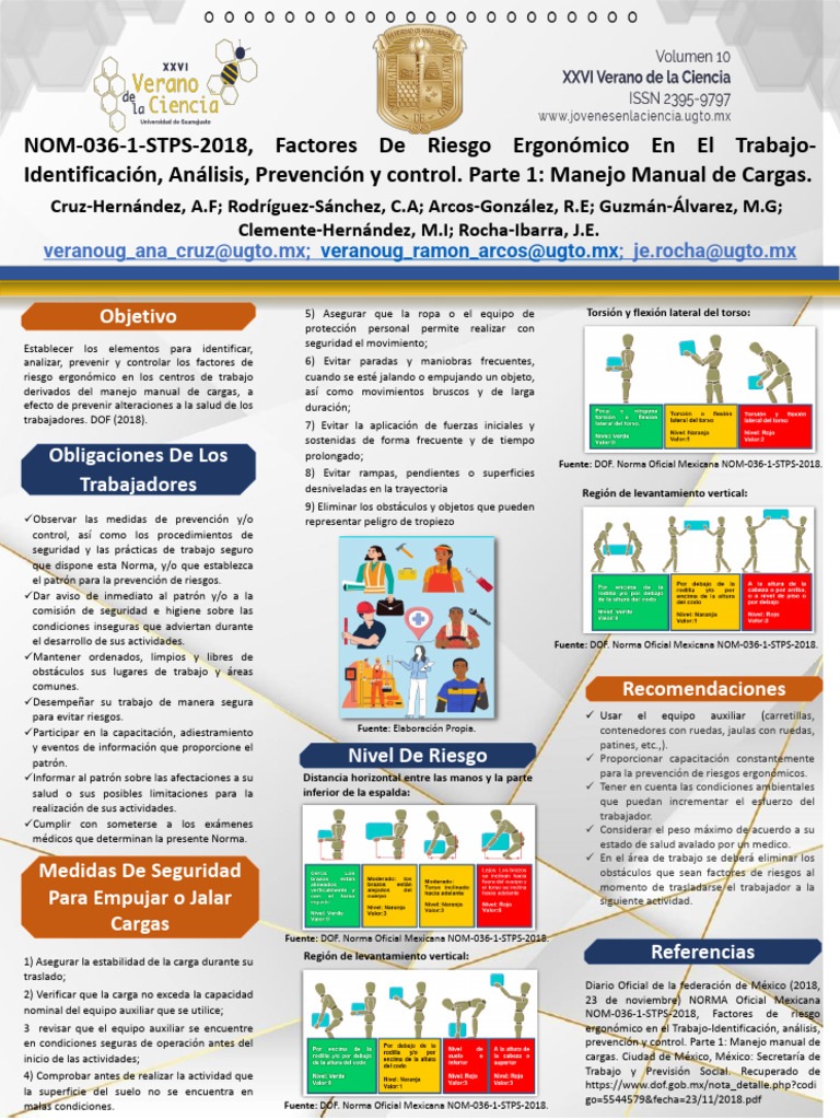 Manejo Manual de Cargas: NOM-036-1-STPS-2018 | PDF | Factores humanos y ...