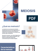 Meiosis - Grupo de Exposición #8
