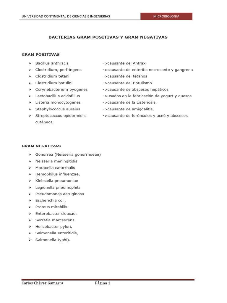 10 Bacterias Gram Positivas y Gram Negativas | PDF | Bacterias Gram ...