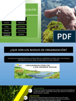 Niveles de Organizacion