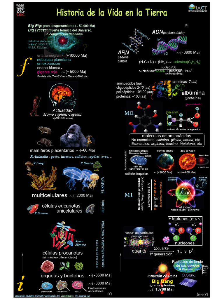 Historia del Universo y la Vida | PDF | Aminoácidos | Eucariotas