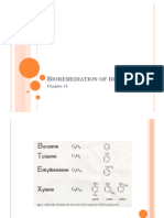 5 Bioremediation of BTEX