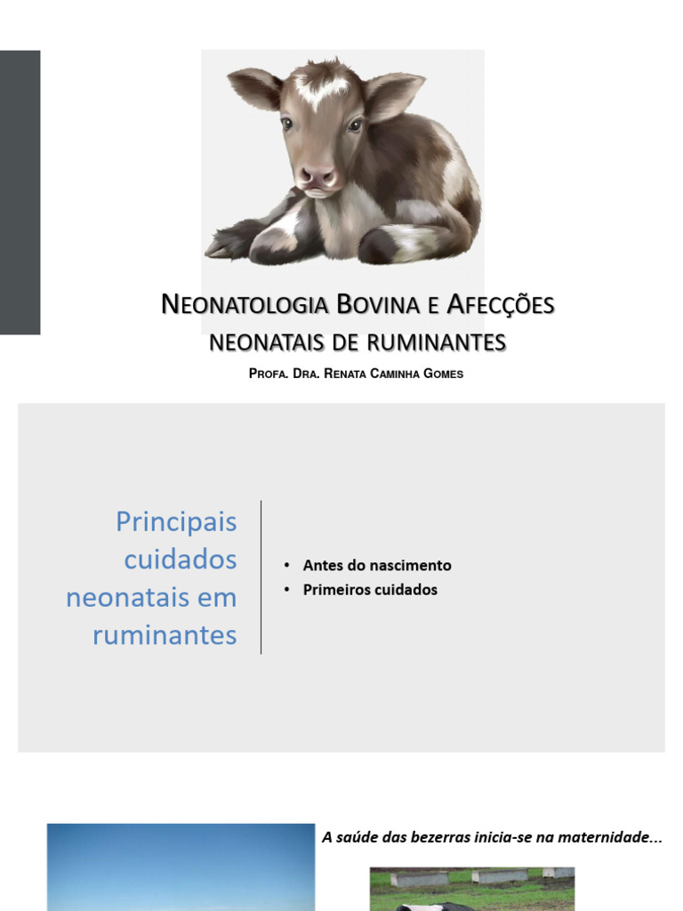 Cuidados Neonatais em Ruminantes | PDF | Pediatria | Causas de morte