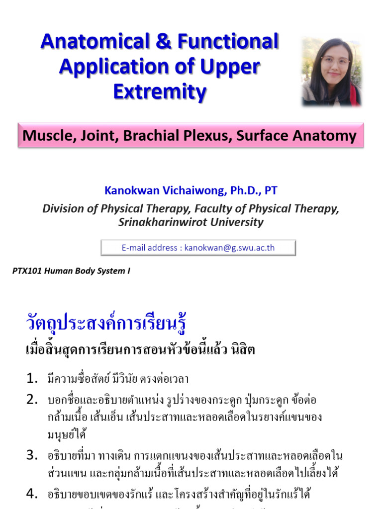 Anatomical and Functional Application of UE - Axilla & Brachial Plexus ...